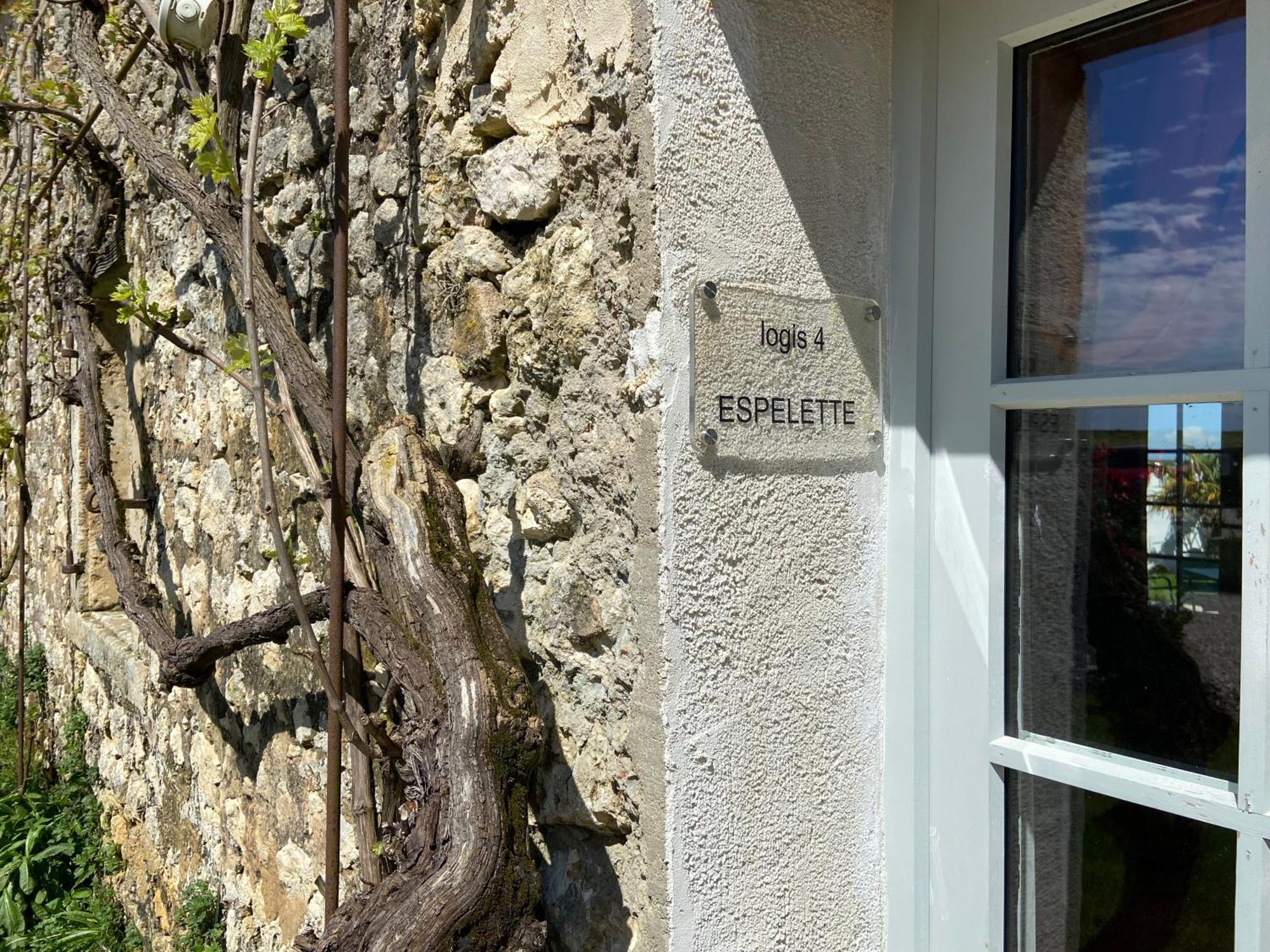 Chateau De Feusse Saint-Just-Luzac Eksteriør bilde
